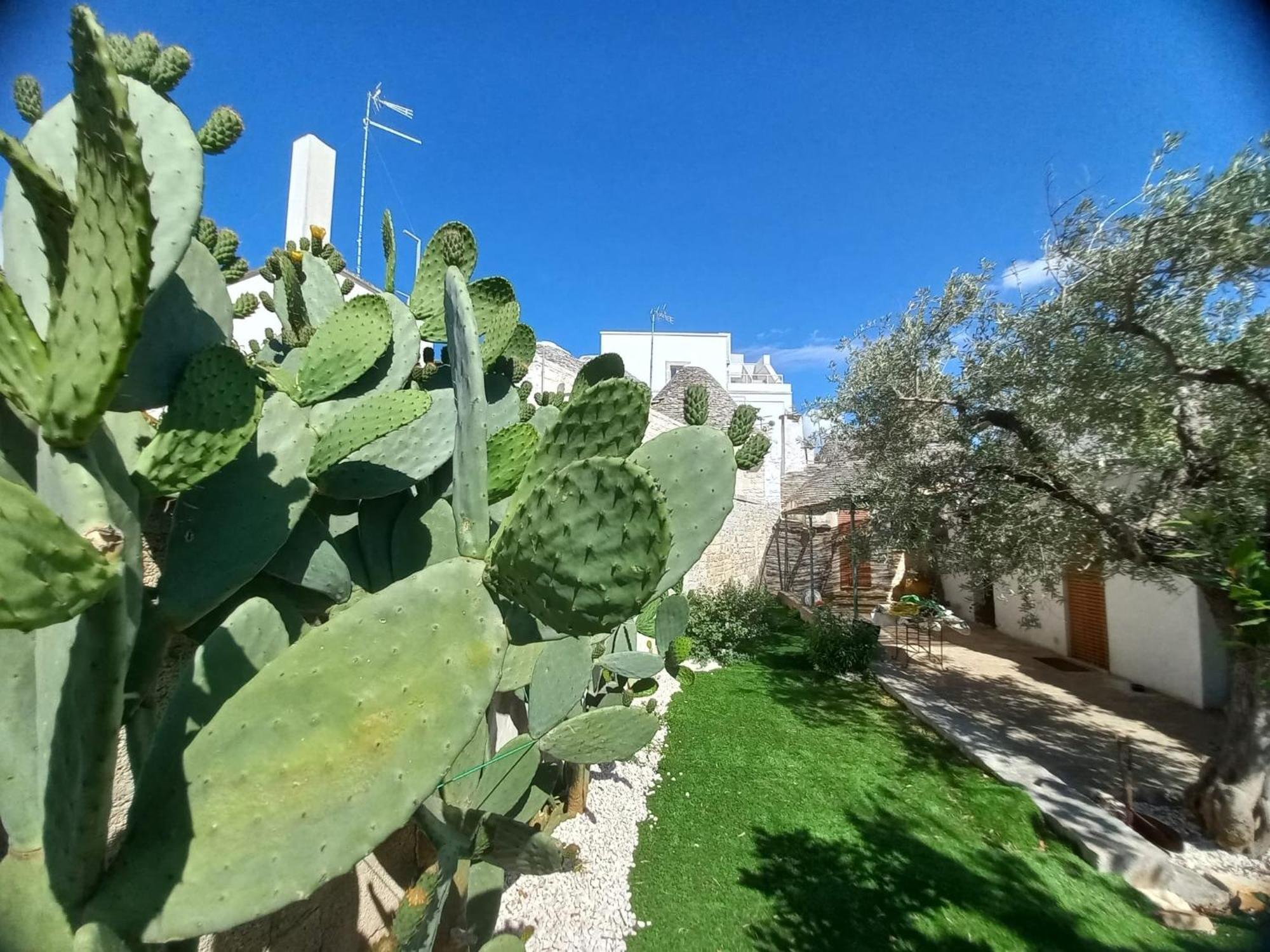 Trullo Vacanza Alberobello Room photo
